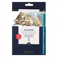 Карандаши цветные акварельные BRUNO VISCONTI "Aquarelle", 36 цветов, европодвес, 30-0049